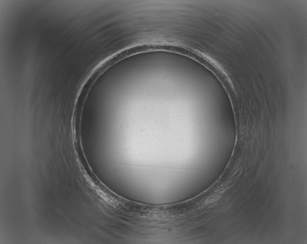 X0000082980935200702230029