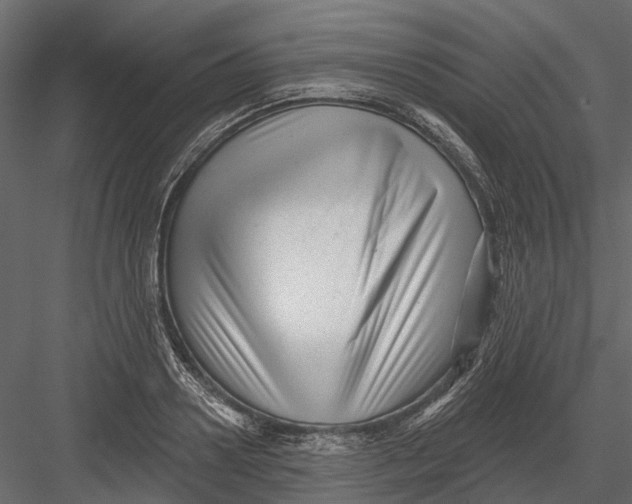 X0000082980938200702230030