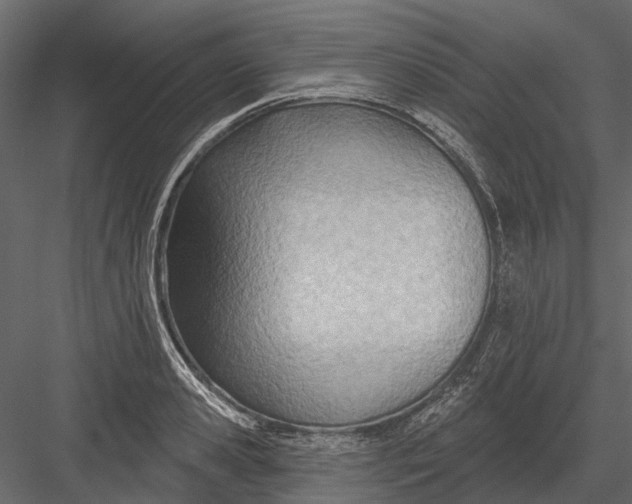 X0000082980941200702230030