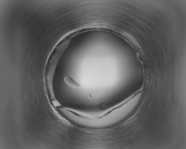 X0000082980942200702230030