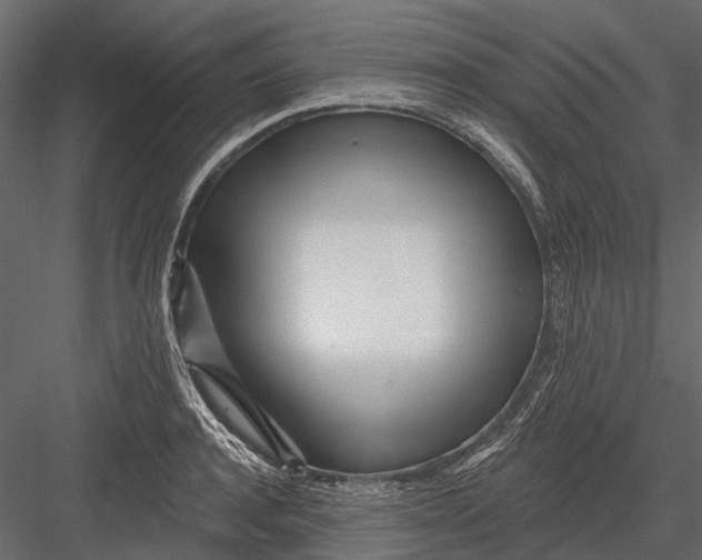 X0000082980944200702230030