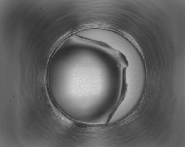 X0000082980946200702230030