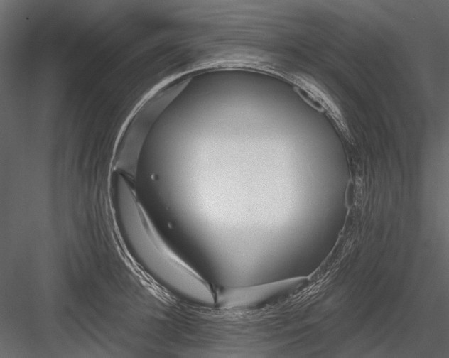 X0000082980948200702230030