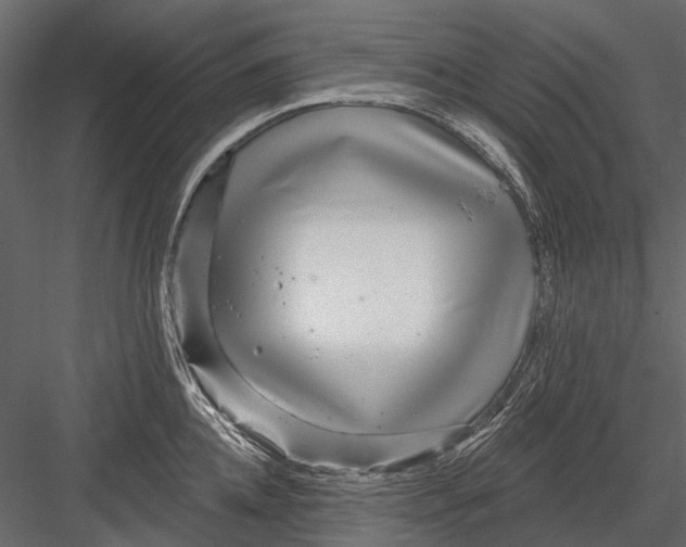 X0000082980952200702230030