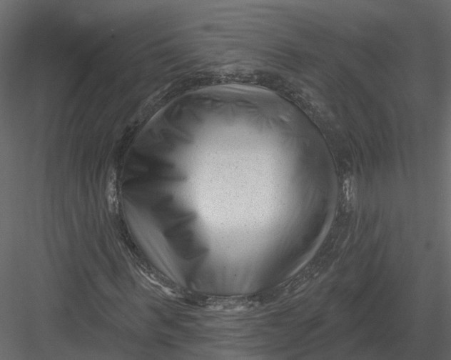 X0000082980963200702230029