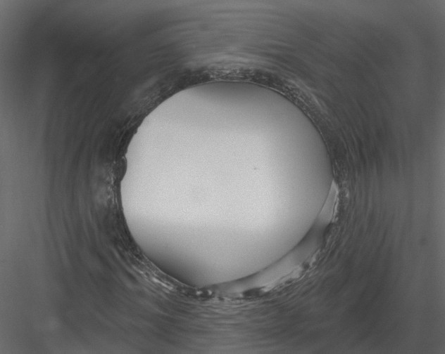 X0000082980964200702230029