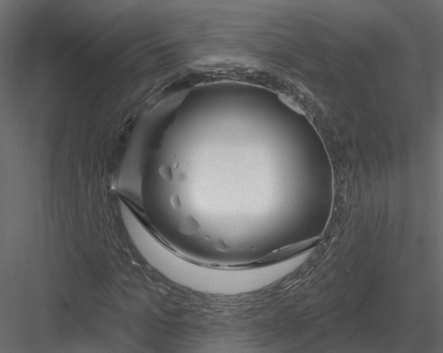X0000082980965200702230029