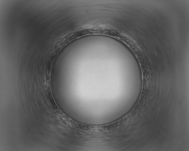 X0000082980966200702230029