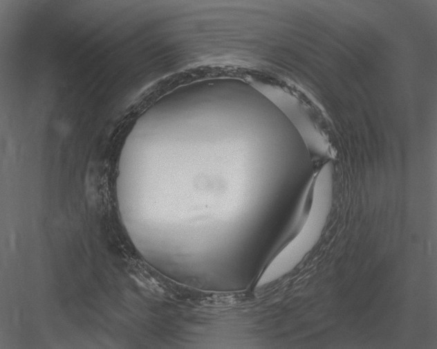 X0000082980968200702230029