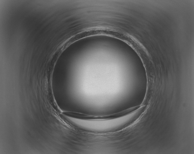 X0000082980969200702230029