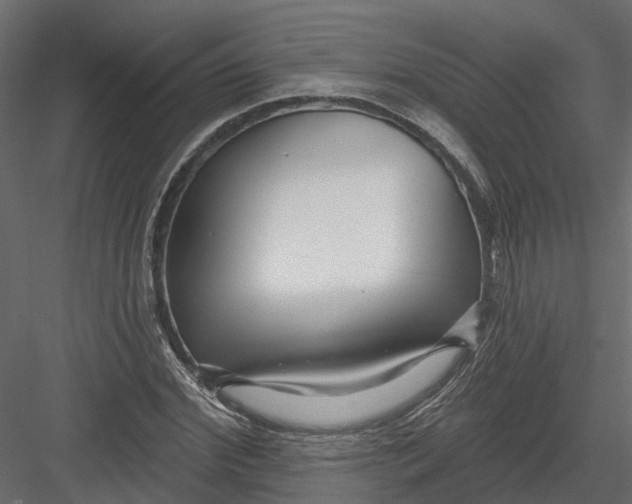 X0000082980972200702230029