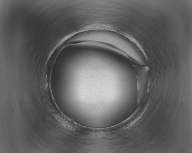 X0000082980973200702230029
