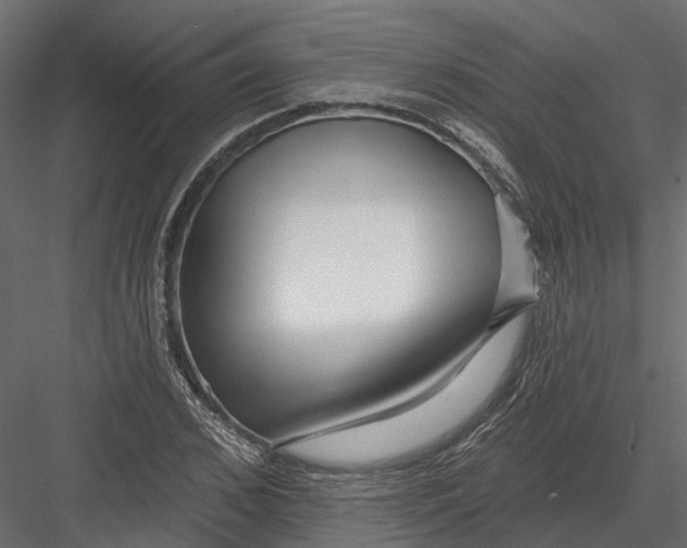 X0000082980976200702230029