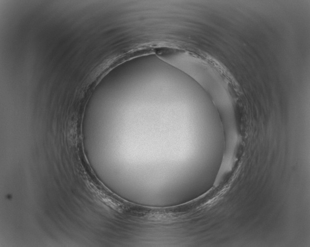 X0000082980977200702230029