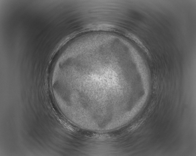 X0000082980978200702230029