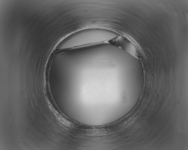 X0000082980980200702230029