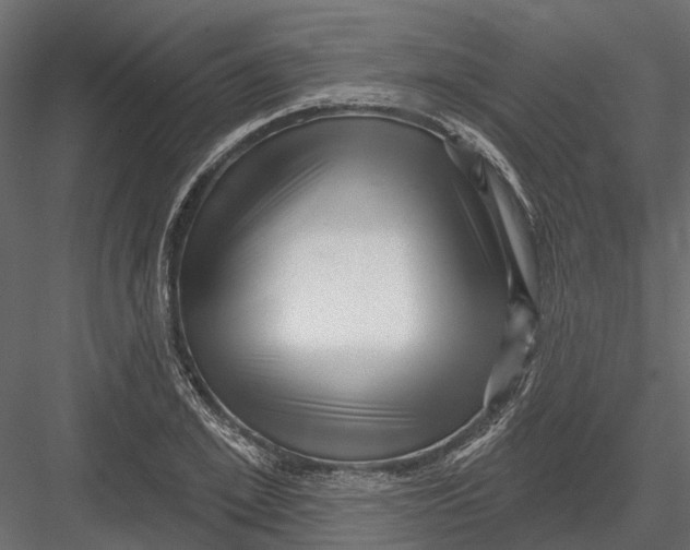 X0000082980981200702230029