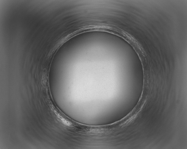 X0000082980985200702230029