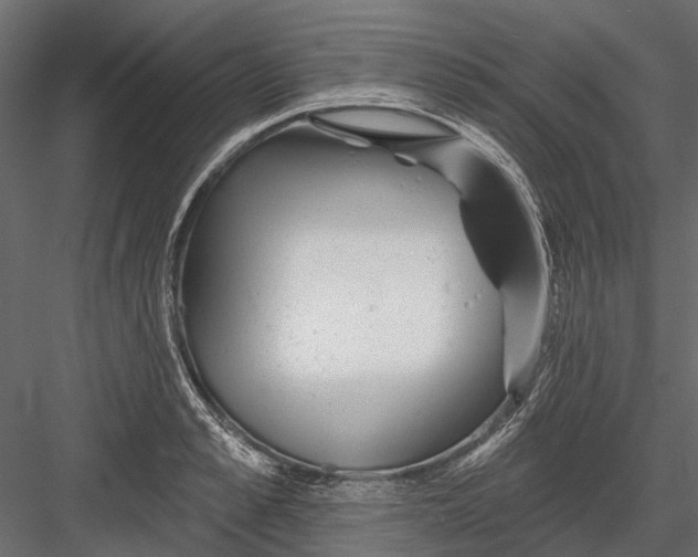 X0000082980989200702230029