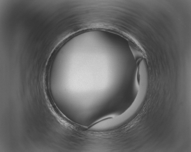 X0000082980991200702230029