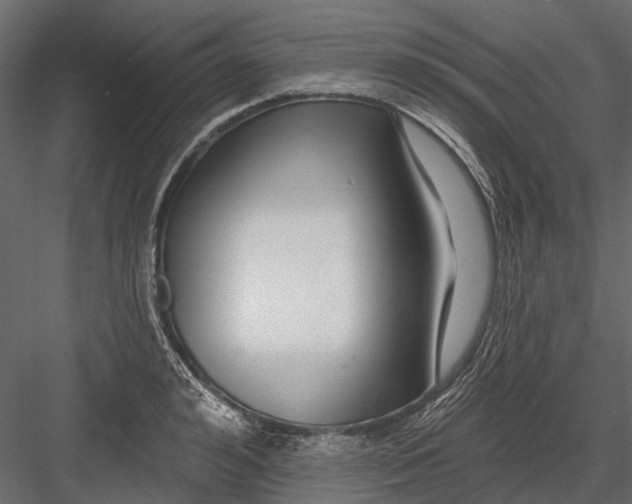 X0000082980992200702230029
