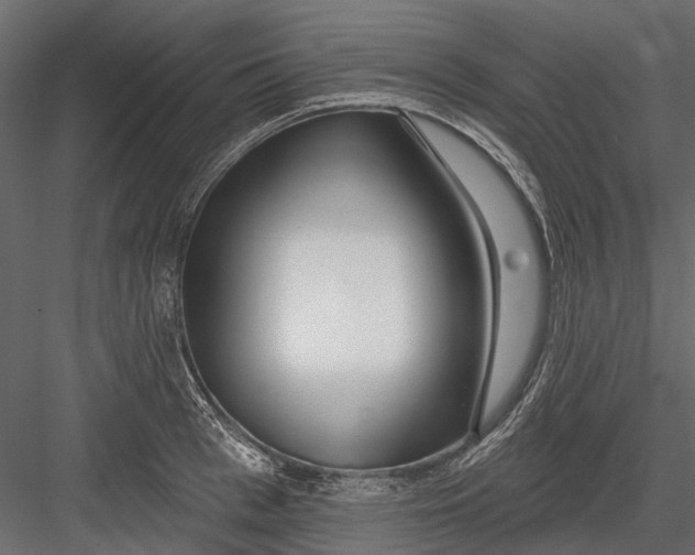 X0000082980993200702230029