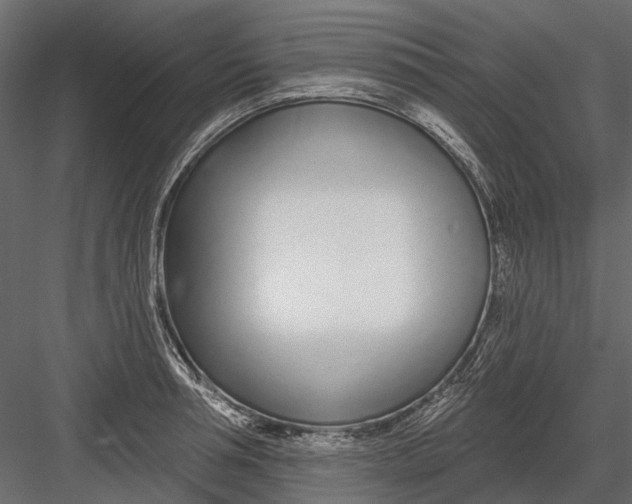 X0000082980994200702230028