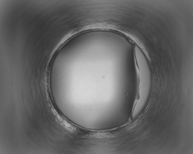 X0000082980998200702230028