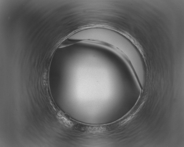 X0000082981001200702230028