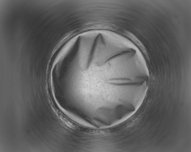 X0000082981002200702230028
