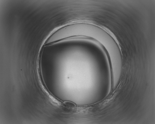 X0000082981005200702230028