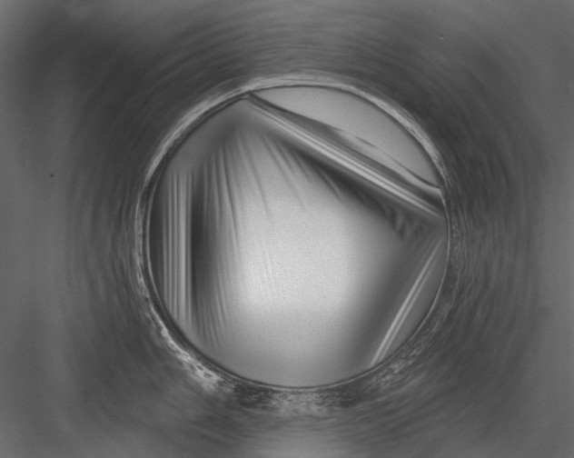 X0000082981006200702230028