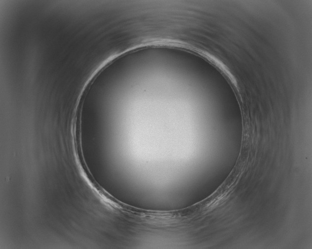 X0000082981007200702230028