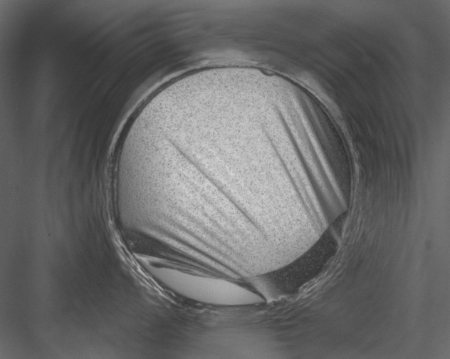 X0000082981008200702230028