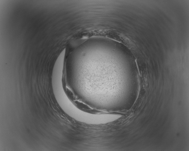 X0000082981010200702230027