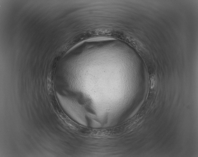 X0000082981011200702230027