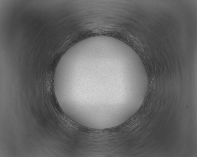 X0000082981012200702230027