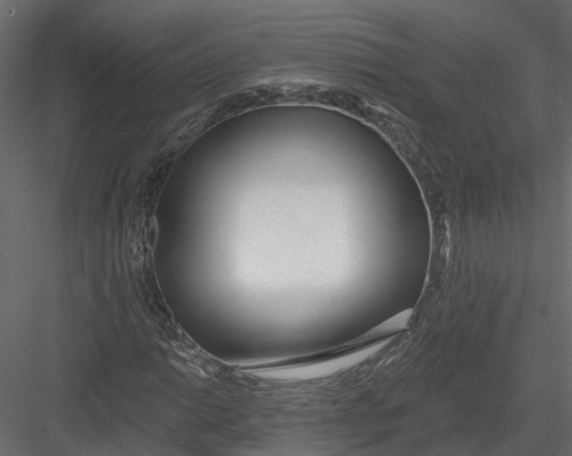 X0000082981014200702230028