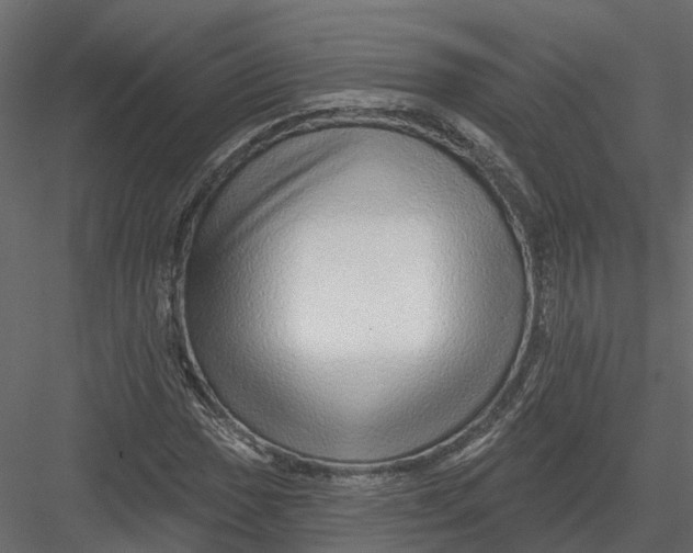 X0000082981017200702230028