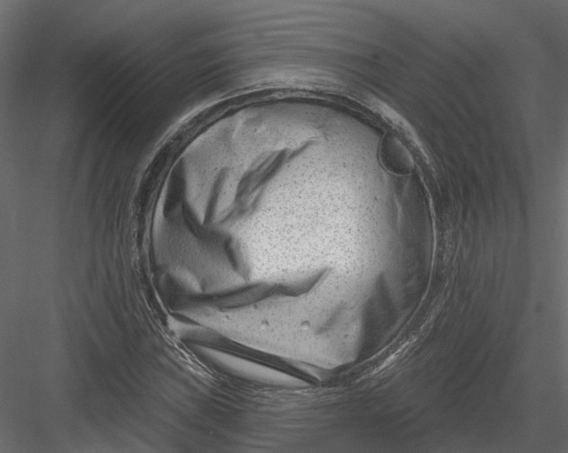 X0000082981019200702230028