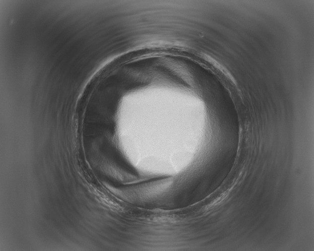 X0000082981021200702230028