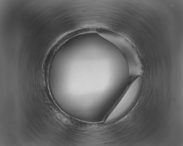 X0000082981022200702230028