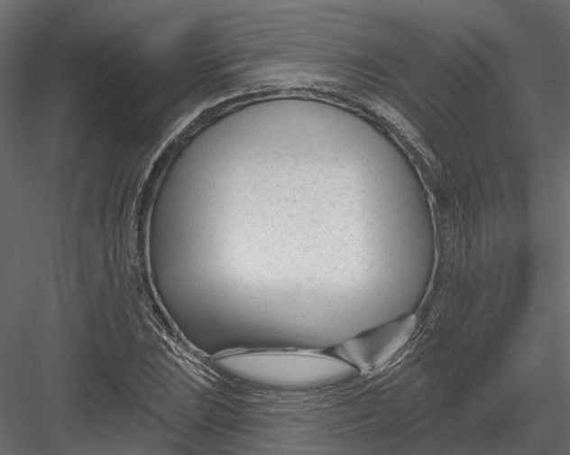 X0000082981023200702230028
