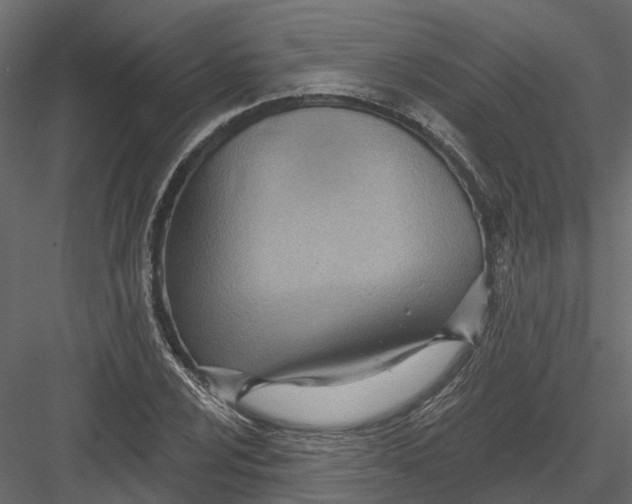 X0000082981024200702230028