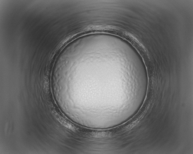 X0000082981025200702230028