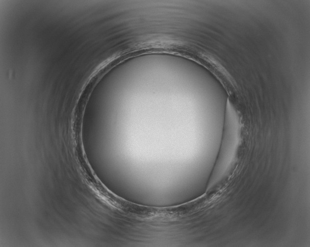 X0000082981026200702230028