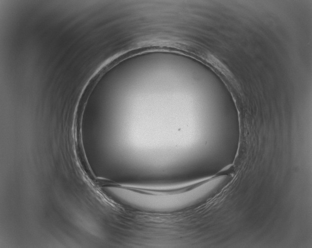X0000082981028200702230028