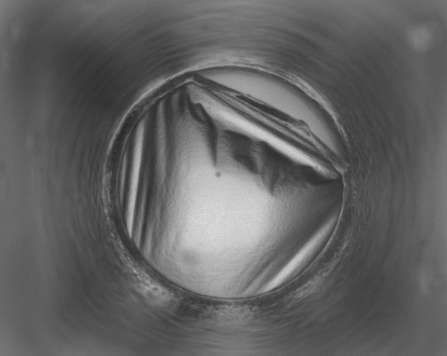X0000082981029200702230028