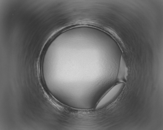 X0000082981032200702230028