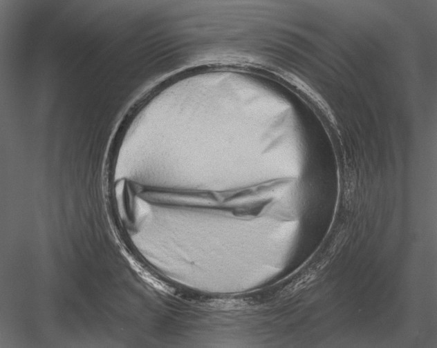 X0000082981037200702230028